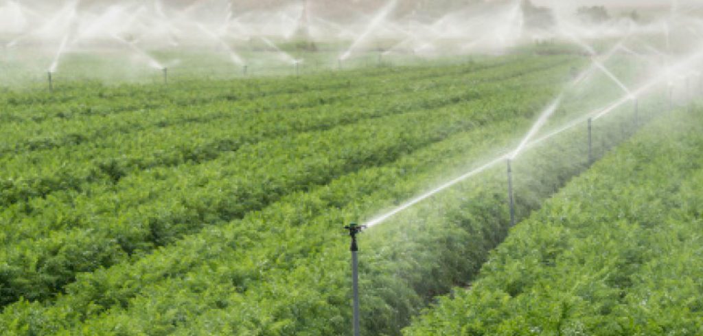 irrigazione pieno campo